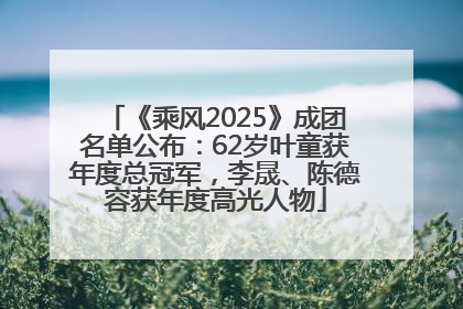 《乘风2025》成团名单公布：62岁叶童获年度总冠军，李晟、陈德容获年度高光人物