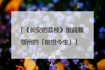 《长安的荔枝》里藏着鄂州的「前世今生」