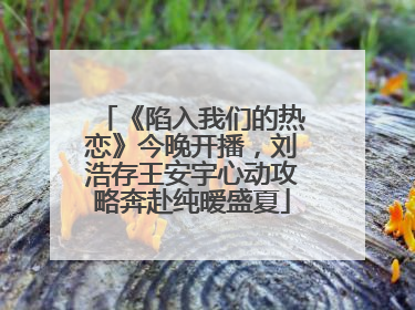 《陷入我们的热恋》今晚开播，刘浩存王安宇心动攻略奔赴纯暧盛夏