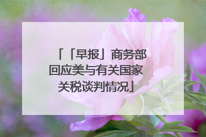 「早报」商务部回应美与有关国家关税谈判情况