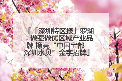 「深圳特区报」罗湖：做强做优区域产业品牌 擦亮“中国宝都 深圳水贝”金字招牌