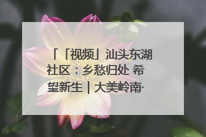 「视频」汕头东湖社区：乡愁归处 希望新生｜大美岭南·百村焕新记