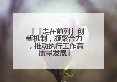 「走在前列」创新机制，凝聚合力，推动执行工作高质量发展