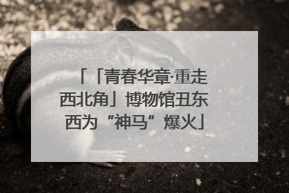 「青春华章·重走西北角」博物馆丑东西为“神马”爆火
