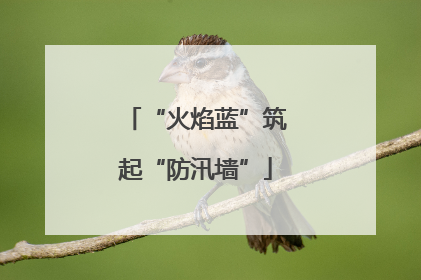 “火焰蓝”筑起“防汛墙”