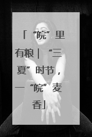 “皖”里有粮｜“三夏”时节，一“皖”麦香