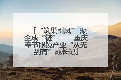 “筑巢引凤” 聚企成“链”——重庆奉节眼镜产业“从无到有”成长记