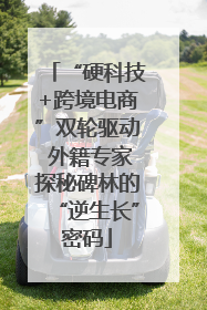 “硬科技+跨境电商”双轮驱动 外籍专家探秘碑林的“逆生长”密码