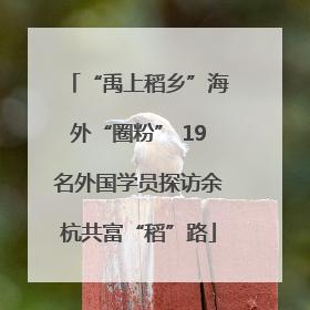“禹上稻乡”海外“圈粉” 19名外国学员探访余杭共富“稻”路