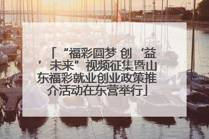 “福彩圆梦 创‘益’未来”视频征集暨山东福彩就业创业政策推介活动在东营举行