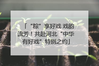 “粽”享好戏 戏韵流芳！共赴河北“中华有好戏”特别之约