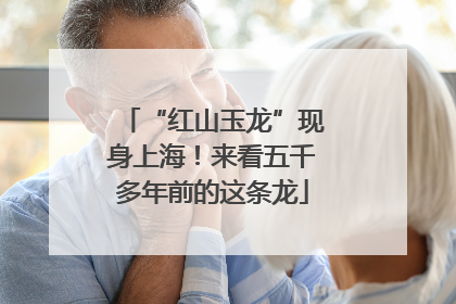 “红山玉龙”现身上海！来看五千多年前的这条龙