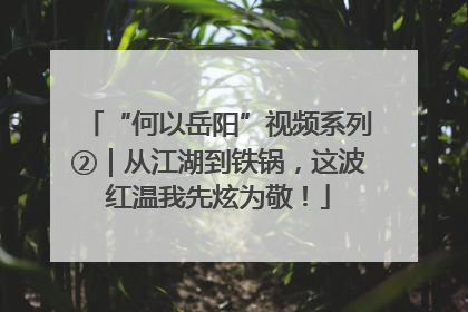 “何以岳阳”视频系列②｜从江湖到铁锅，这波红温我先炫为敬！