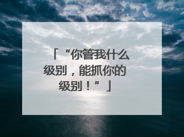 “你管我什么级别，能抓你的级别！”