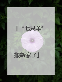 “七只羊”搬新家了