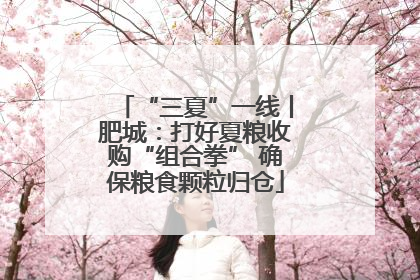 “三夏”一线丨肥城：打好夏粮收购“组合拳” 确保粮食颗粒归仓