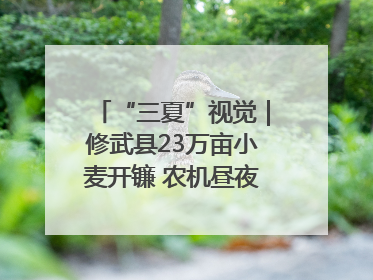“三夏”视觉｜修武县23万亩小麦开镰 农机昼夜抢收抢种