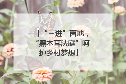 “三进”菌地，“黑木耳法庭”呵护乡村梦想