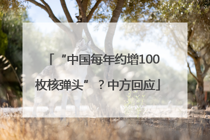 “中国每年约增100枚核弹头”？中方回应