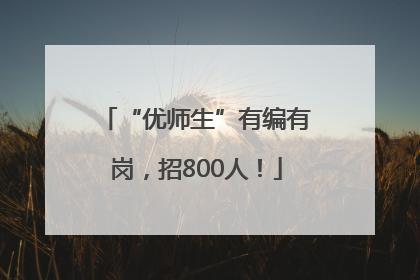 “优师生”有编有岗，招800人！