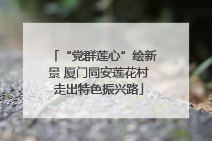 “党群莲心”绘新景 厦门同安莲花村走出特色振兴路