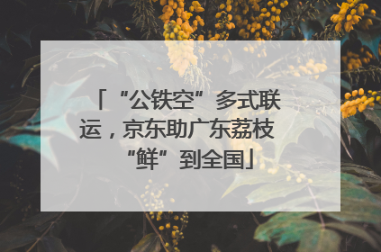 “公铁空”多式联运，京东助广东荔枝“鲜”到全国