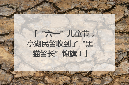 “六一”儿童节，亭湖民警收到了“黑猫警长”锦旗！