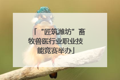 “匠筑潍坊”畜牧兽医行业职业技能竞赛举办