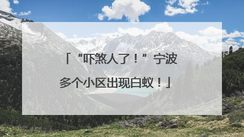 “吓煞人了！”宁波多个小区出现白蚁！