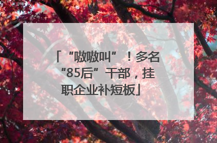 “嗷嗷叫”！多名“85后”干部，挂职企业补短板