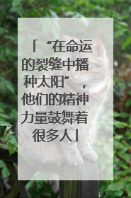 “在命运的裂缝中播种太阳”，他们的精神力量鼓舞着很多人