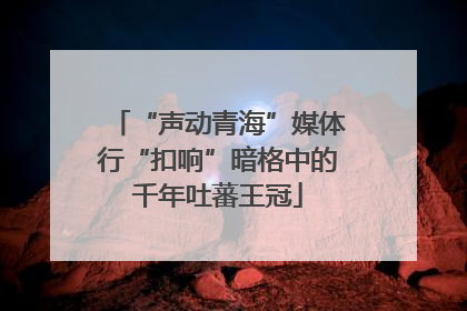 “声动青海”媒体行“扣响”暗格中的千年吐蕃王冠