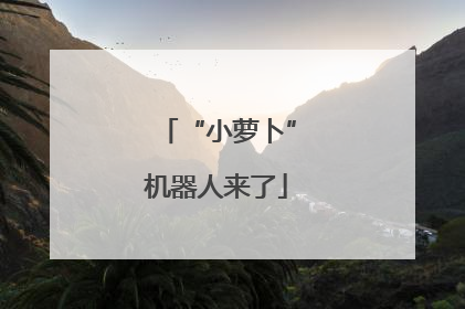 “小萝卜”机器人来了