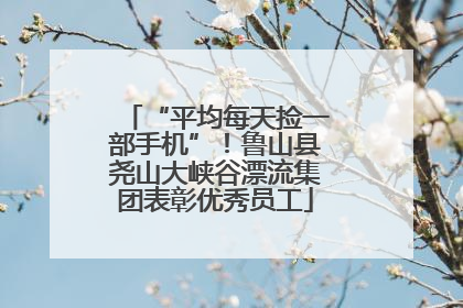 “平均每天捡一部手机”！鲁山县尧山大峡谷漂流集团表彰优秀员工