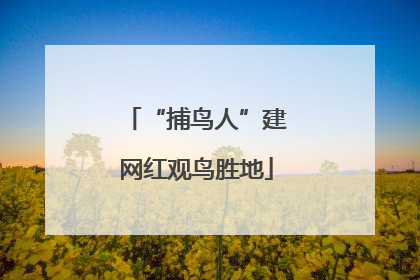 “捕鸟人”建网红观鸟胜地