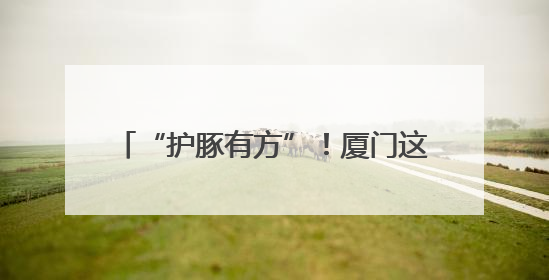 “护豚有方”！厦门这群人组成了一支“海上大熊猫”守护者联盟