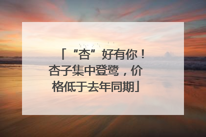 “杏”好有你！杏子集中登鹭，价格低于去年同期