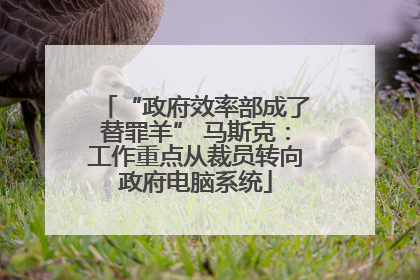 “政府效率部成了替罪羊” 马斯克：工作重点从裁员转向政府电脑系统