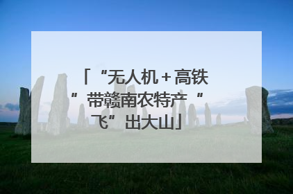 “无人机＋高铁”带赣南农特产“飞”出大山