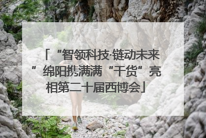 “智领科技·链动未来”绵阳携满满“干货”亮相第二十届西博会
