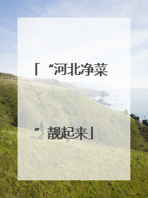 “河北净菜”靓起来