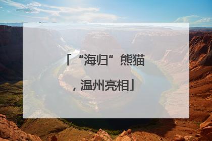 “海归”熊猫，温州亮相