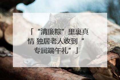 “清廉粽”里裹真情 独居老人收到“专属端午礼”