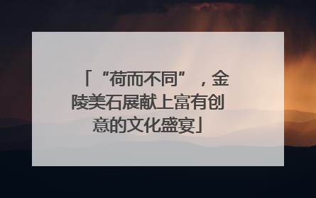 “荷而不同”，金陵美石展献上富有创意的文化盛宴