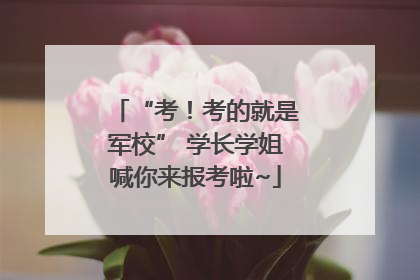 “考！考的就是军校” 学长学姐喊你来报考啦~