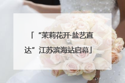 “茉莉花开·盐艺直达”江苏滨海站启幕
