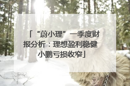 “蔚小理”一季度财报分析：理想盈利稳健 小鹏亏损收窄