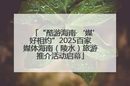 “酷游海南·‘媒’好相约”2025百家媒体海南（陵水）旅游推介活动启幕