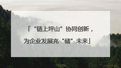 “链上坪山”协同创新，为企业发展充“储”未来
