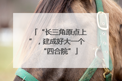 “长三角原点上”，建成好大一个“四合院”